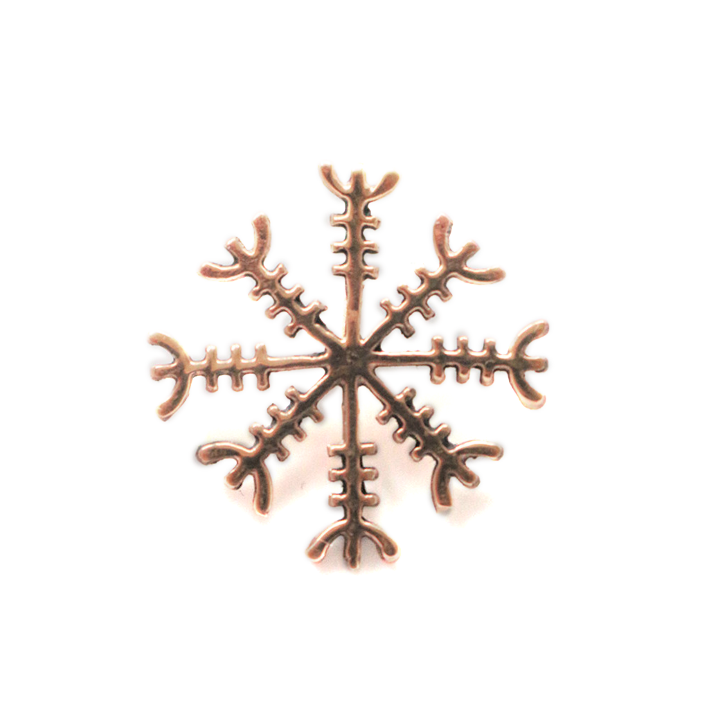 find-the-best-aegishjalmur-anhanger-bronze-discount_1.png